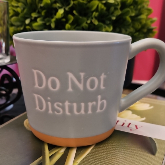 Threshold Other - Do Not Disturb Gray/Green Mug